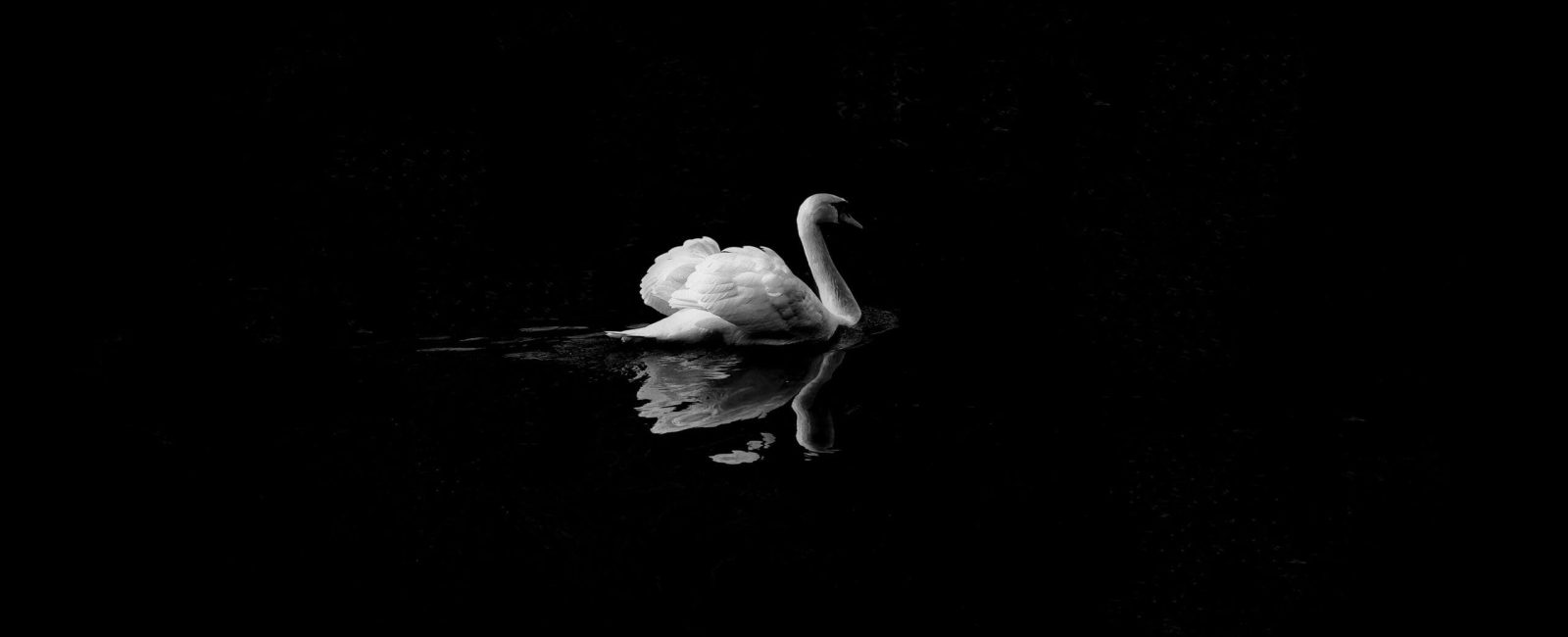 davidcohen-EhSxbBCjr9A-unsplash davidcohen-EhSxbBCjr9A-unsplash