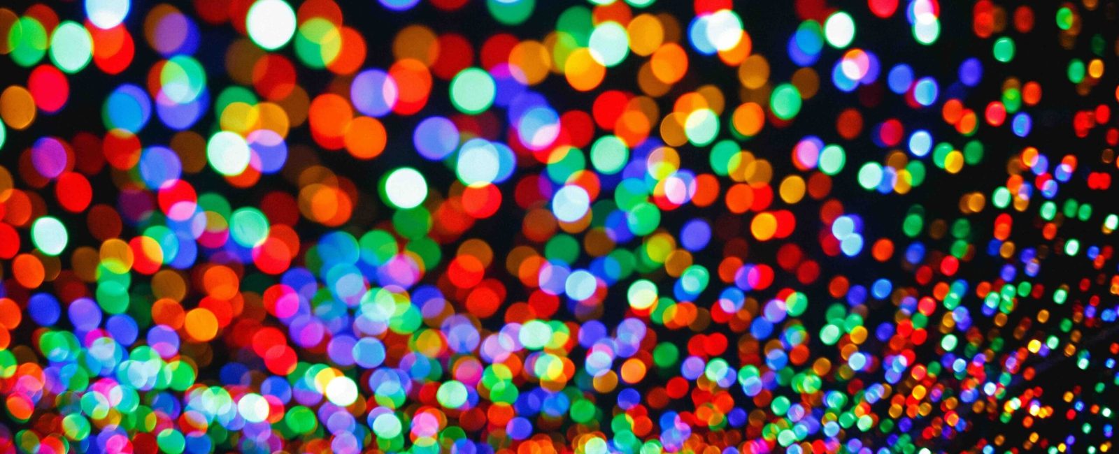 katya-ross-Ni-xXcVb8Cg-unsplash katya-ross-Ni-xXcVb8Cg-unsplash