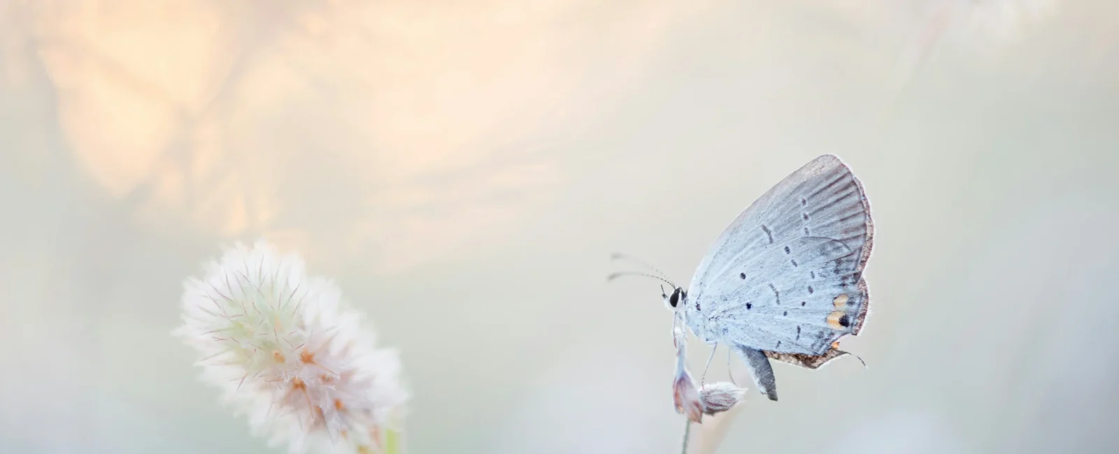 ray-hennessy-qZzJoiKHqmo-unsplash ray-hennessy-qZzJoiKHqmo-unsplash